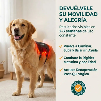 Vetalux™ Red Light Pad Alivio Articular sin Fármacos