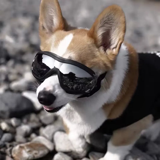 Gafas Clínicas Retina-Guard™